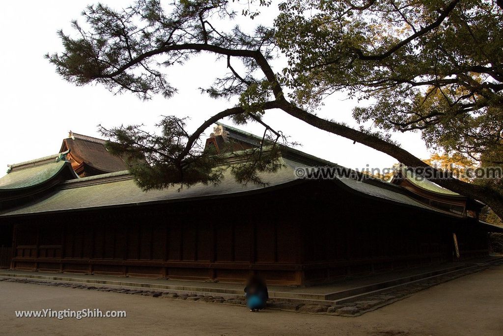 YTS_YTS_20190120_日本九州福岡筥崎宮（日本三大八幡宮）／惠光院Japan Kyushu Fukuoka Hakozaki Shrine138_3A5A5515.jpg