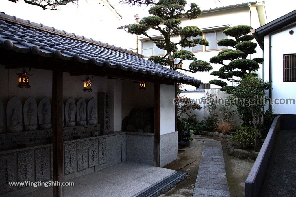 YTS_YTS_20190120_日本九州福岡筥崎宮（日本三大八幡宮）／惠光院Japan Kyushu Fukuoka Hakozaki Shrine198_3A5A6002.jpg