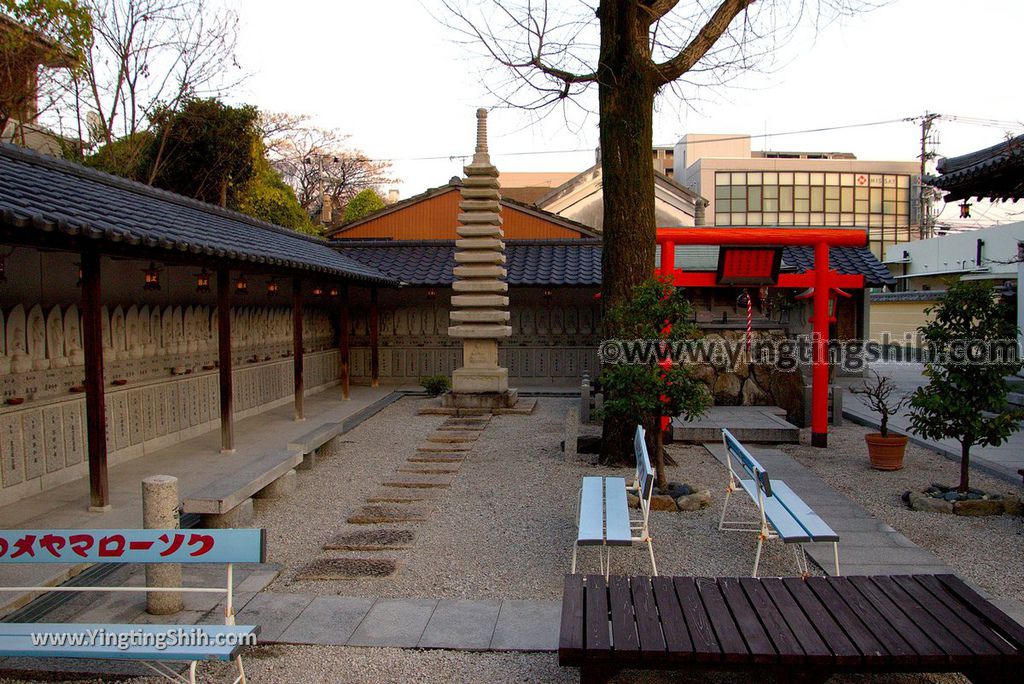 YTS_YTS_20190120_日本九州福岡筥崎宮（日本三大八幡宮）／惠光院Japan Kyushu Fukuoka Hakozaki Shrine199_3A5A5921.jpg