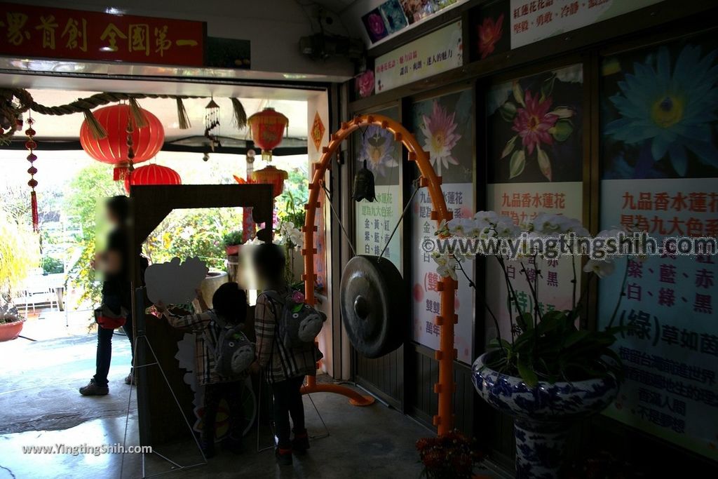 YTS_YTS_20190209_台南六甲九品蓮花生態教育園區Tainan Liujia Jioupin Lotus Garden040_539A9804.jpg