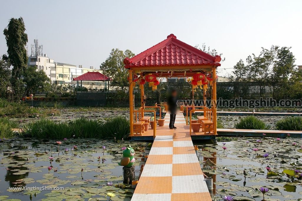 YTS_YTS_20190209_台南六甲九品蓮花生態教育園區Tainan Liujia Jioupin Lotus Garden054_539A9834.jpg