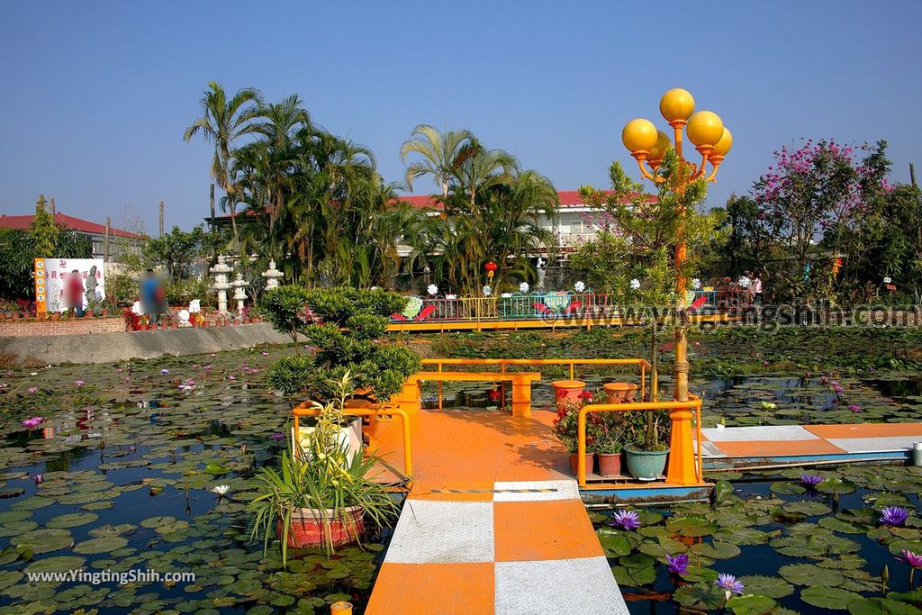 YTS_YTS_20190209_台南六甲九品蓮花生態教育園區Tainan Liujia Jioupin Lotus Garden053_539A9833.jpg