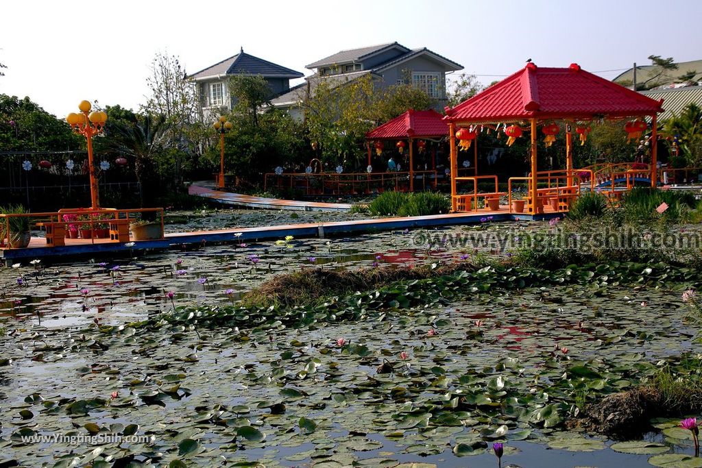 YTS_YTS_20190209_台南六甲九品蓮花生態教育園區Tainan Liujia Jioupin Lotus Garden068_539A9884.jpg