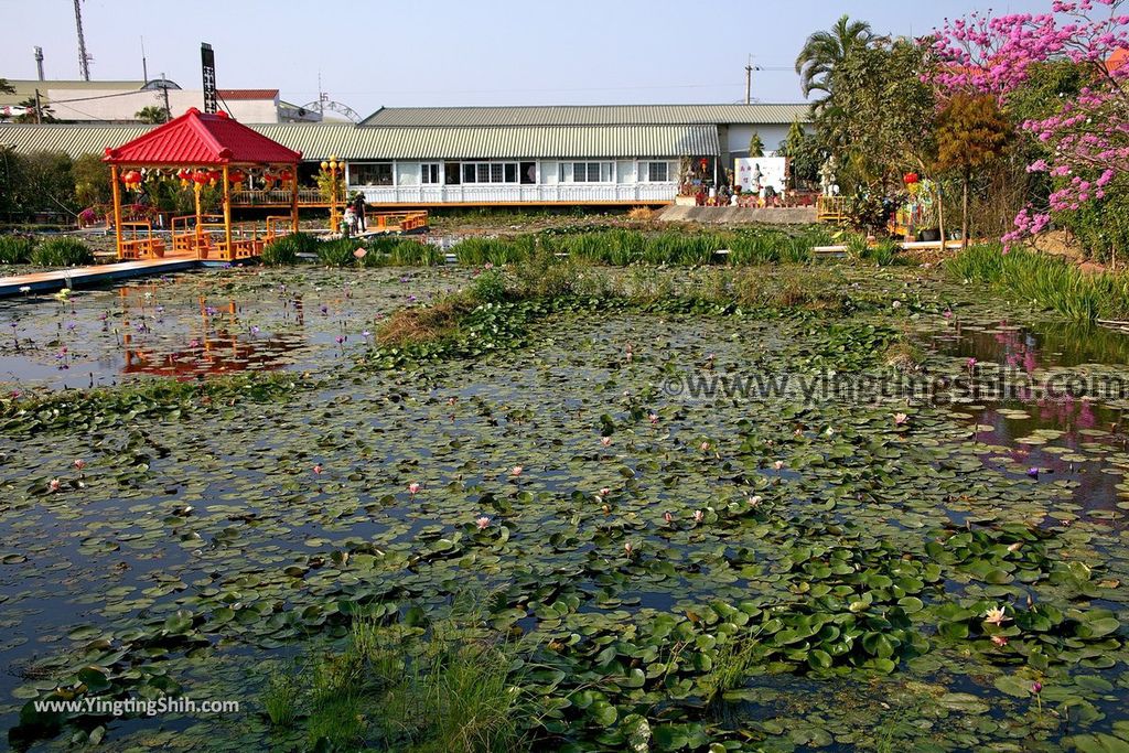 YTS_YTS_20190209_台南六甲九品蓮花生態教育園區Tainan Liujia Jioupin Lotus Garden070_539A9874.jpg