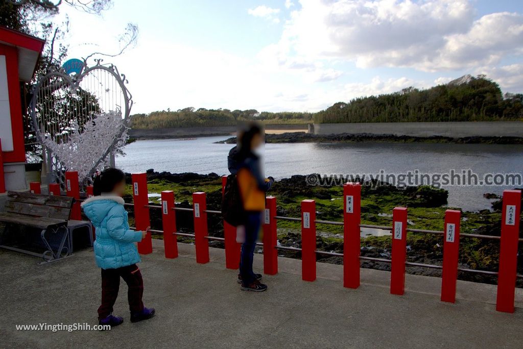 YTS_YTS_20190125_日本九州鹿兒島釜蓋神社／射楯兵主神社／壽石Japan Kyushu Kagoshima Kamafuta Shrine029_3A5A9327.jpg