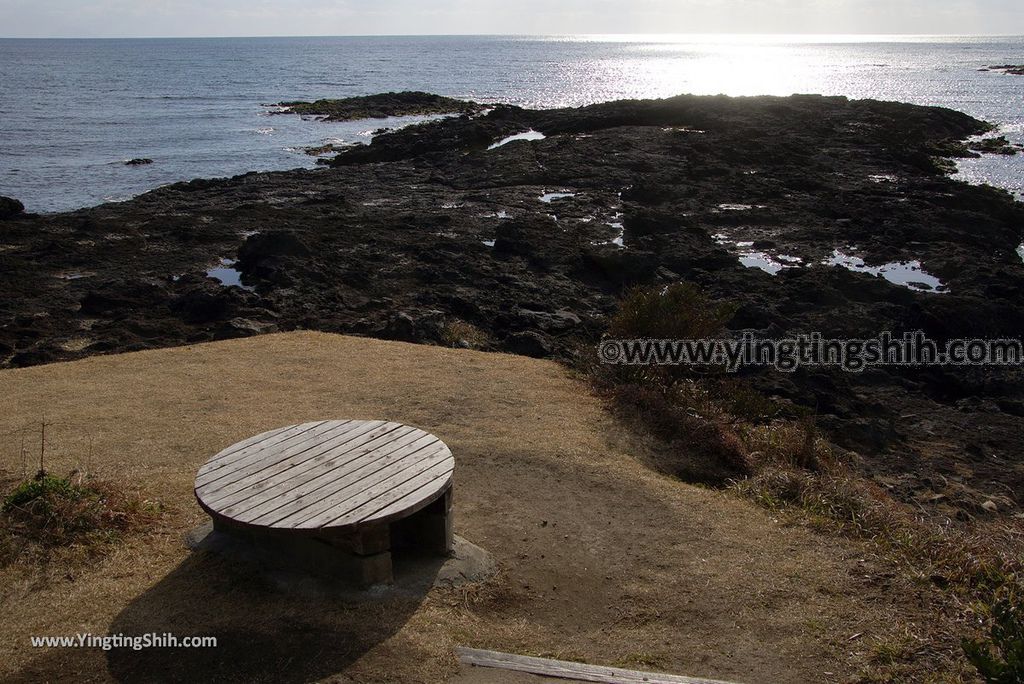 YTS_YTS_20190125_日本九州鹿兒島釜蓋神社／射楯兵主神社／壽石Japan Kyushu Kagoshima Kamafuta Shrine082_3A5A9164.jpg