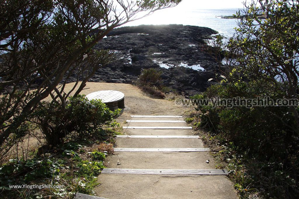 YTS_YTS_20190125_日本九州鹿兒島釜蓋神社／射楯兵主神社／壽石Japan Kyushu Kagoshima Kamafuta Shrine080_3A5A9161.jpg