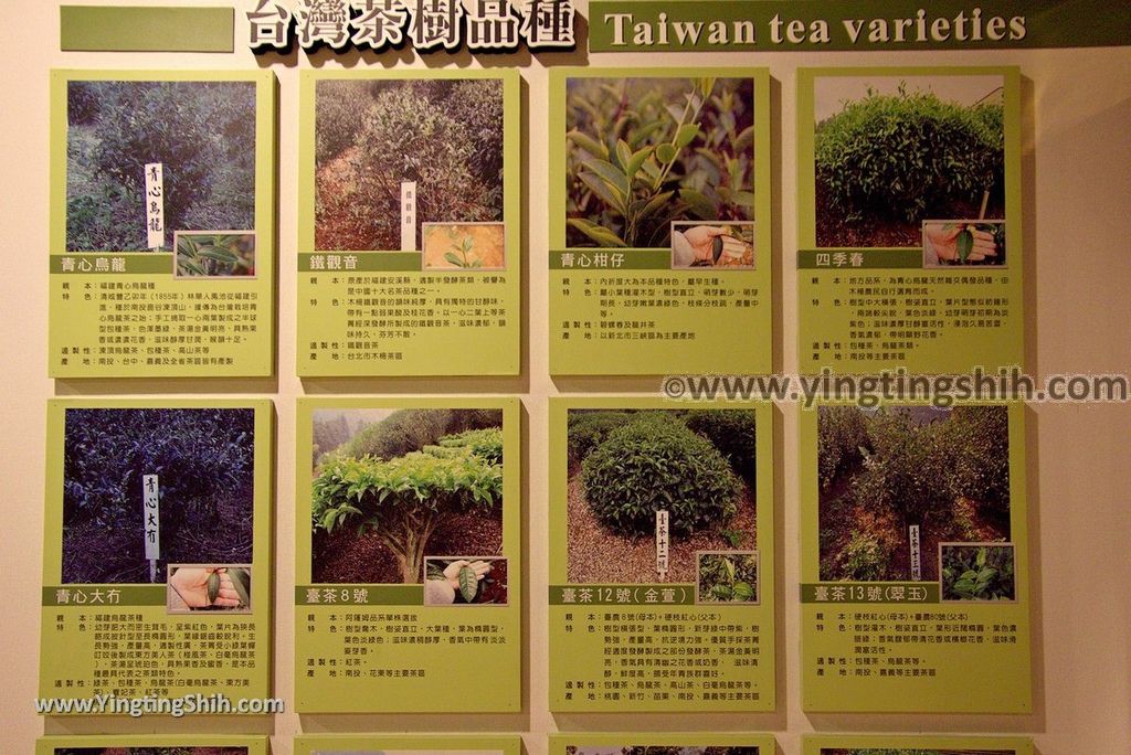 YTS_YTS_20190113_南投鹿谷茶葉文化館／農會茶業中心Nantou Lugu Tea Cultural Museum092_3A5A9295.jpg