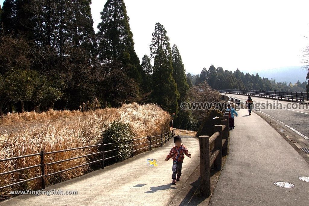 YTS_YTS_20190123_日本九州鹿兒島霧島神水峡／柱状節理／舊橋溪谷眺望／足湯Japan Kyushu Kagoshima Shinsui-Kyo Gorge040_3A5A0916.jpg