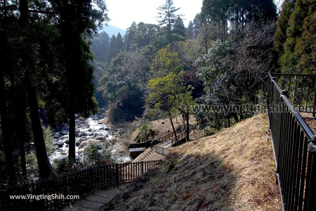 YTS_YTS_20190123_日本九州鹿兒島霧島神水峡／柱状節理／舊橋溪谷眺望／足湯Japan Kyushu Kagoshima Shinsui-Kyo Gorge051_3A5A9784.jpg