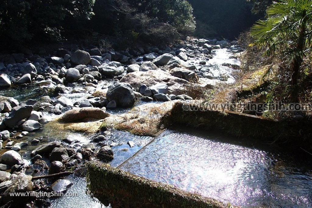 YTS_YTS_20190123_日本九州鹿兒島霧島神水峡／柱状節理／舊橋溪谷眺望／足湯Japan Kyushu Kagoshima Shinsui-Kyo Gorge054_3A5A9807.jpg