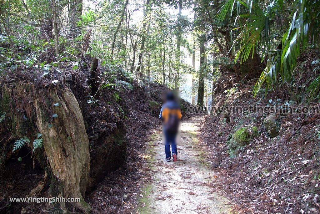 YTS_YTS_20190123_日本九州鹿兒島霧島神水峡／柱状節理／舊橋溪谷眺望／足湯Japan Kyushu Kagoshima Shinsui-Kyo Gorge063_3A5A9892.jpg