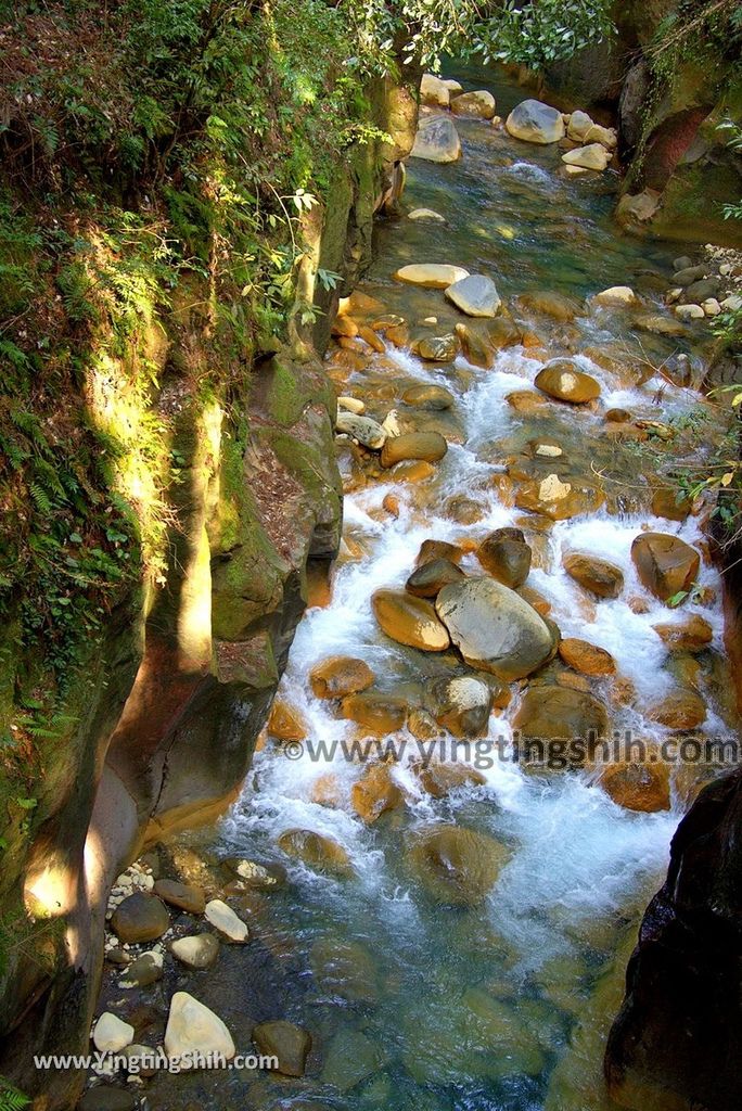 YTS_YTS_20190123_日本九州鹿兒島霧島神水峡／柱状節理／舊橋溪谷眺望／足湯Japan Kyushu Kagoshima Shinsui-Kyo Gorge092_3A5A0812.jpg