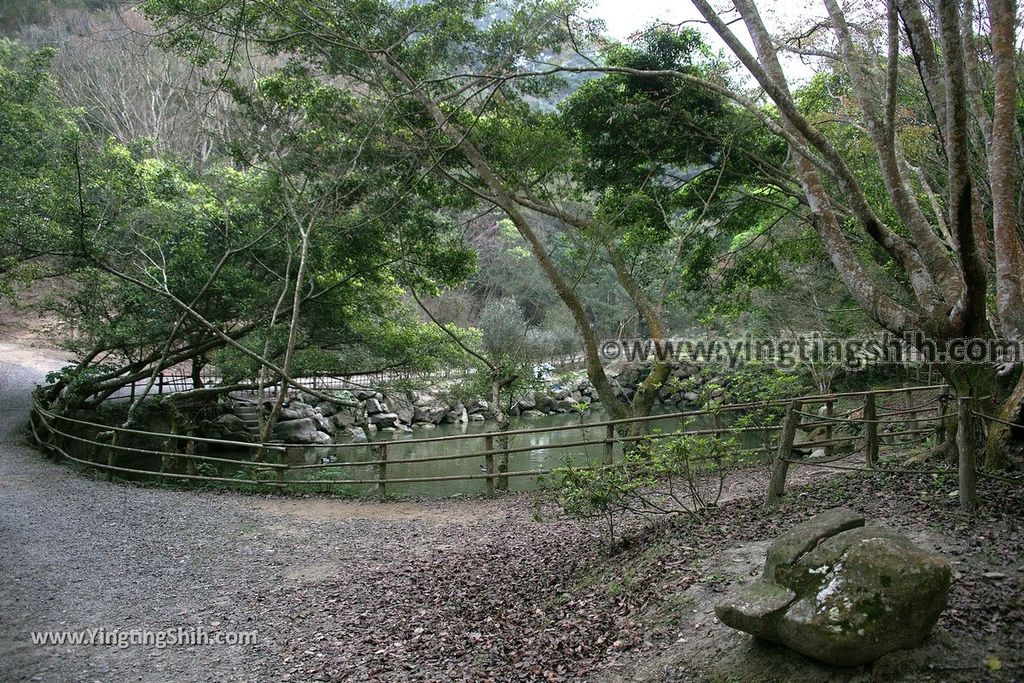 YTS_YTS_20190302_苗栗三義綠葉方舟Miaoli Sanyi Green Ark Garden Restaurant049_539A5704.jpg