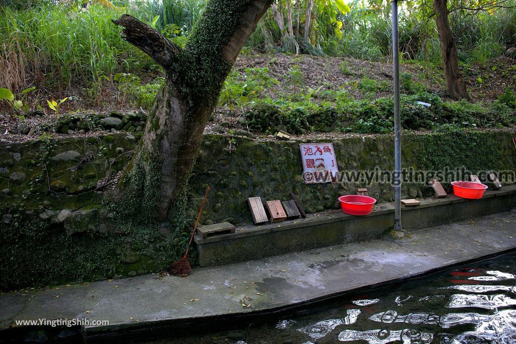 YTS_YTS_20190206_桃園龍潭區泉水坑／泉水空／湧泉Taoyuan Longtan Spring Fountain017_539A8102.jpg