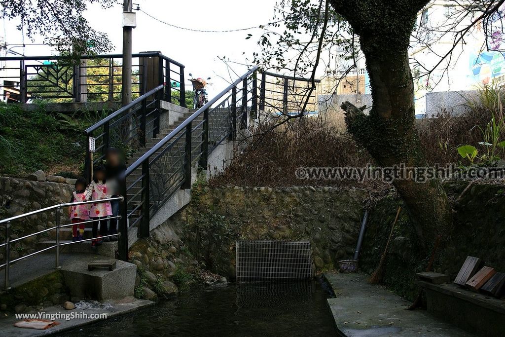 YTS_YTS_20190206_桃園龍潭區泉水坑／泉水空／湧泉Taoyuan Longtan Spring Fountain019_539A8115.jpg