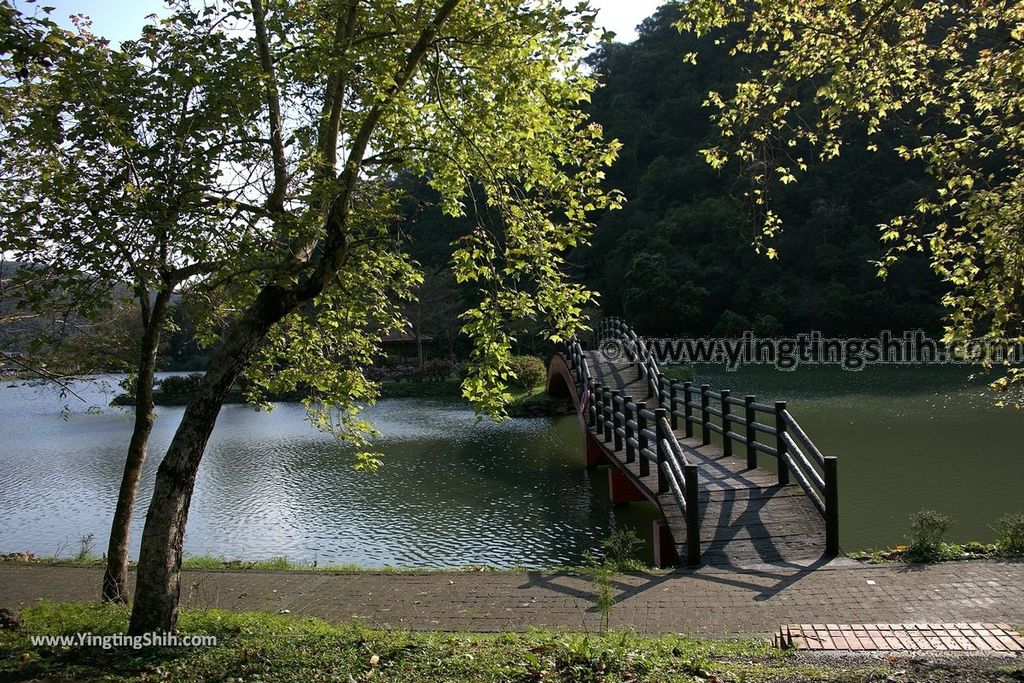 YTS_YTS_20190310_宜蘭員山望龍埤／飛龍步道／環湖步道Yilan Yuanshan Wanglongpi Trail006_539A7564.jpg