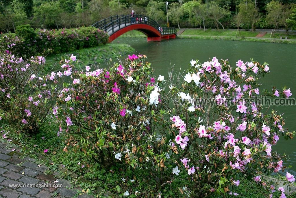 YTS_YTS_20190310_宜蘭員山望龍埤／飛龍步道／環湖步道Yilan Yuanshan Wanglongpi Trail030_539A7881.jpg