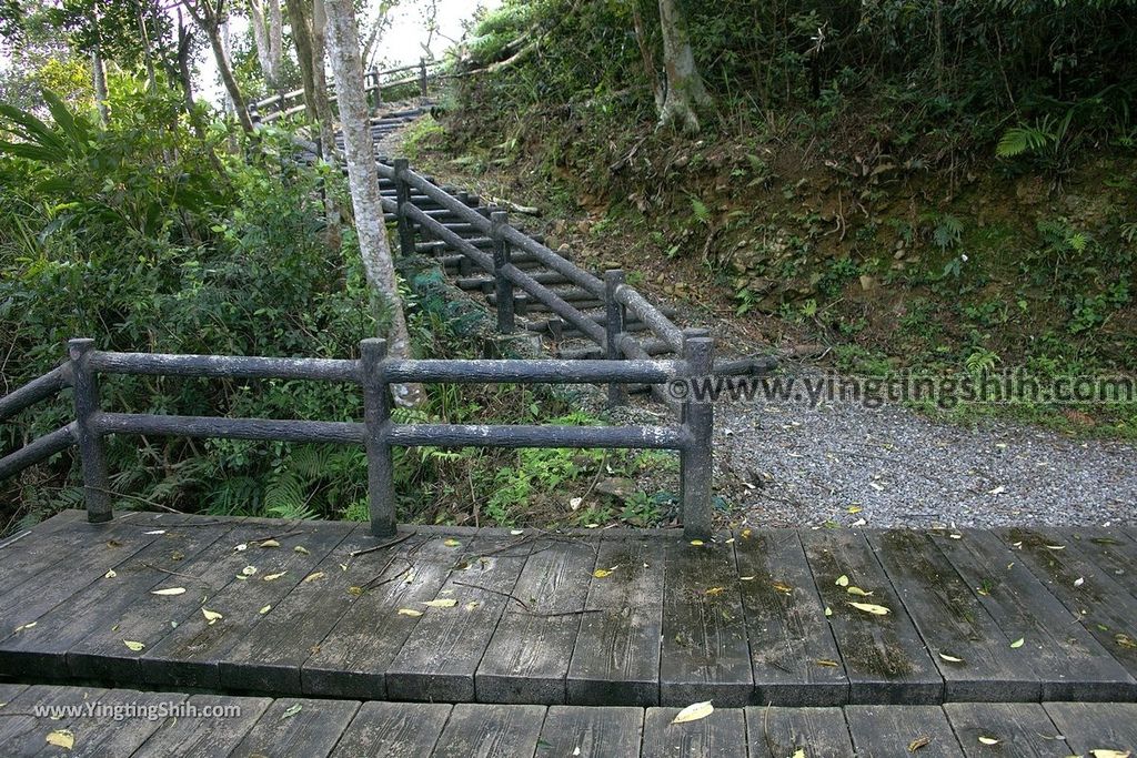 YTS_YTS_20190310_宜蘭員山望龍埤／飛龍步道／環湖步道Yilan Yuanshan Wanglongpi Trail079_539A7742.jpg