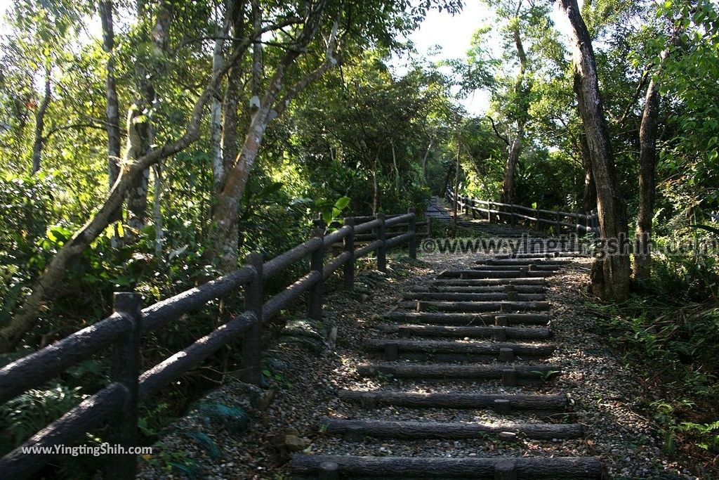 YTS_YTS_20190310_宜蘭員山望龍埤／飛龍步道／環湖步道Yilan Yuanshan Wanglongpi Trail080_539A7746.jpg