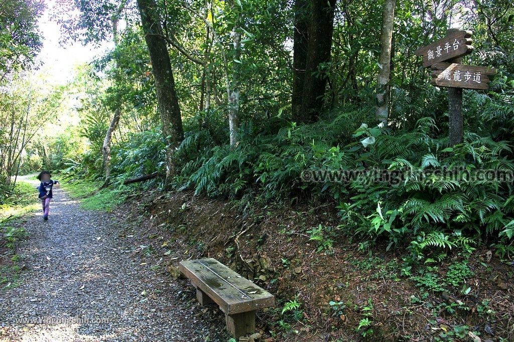 YTS_YTS_20190310_宜蘭員山望龍埤／飛龍步道／環湖步道Yilan Yuanshan Wanglongpi Trail083_539A7757.jpg