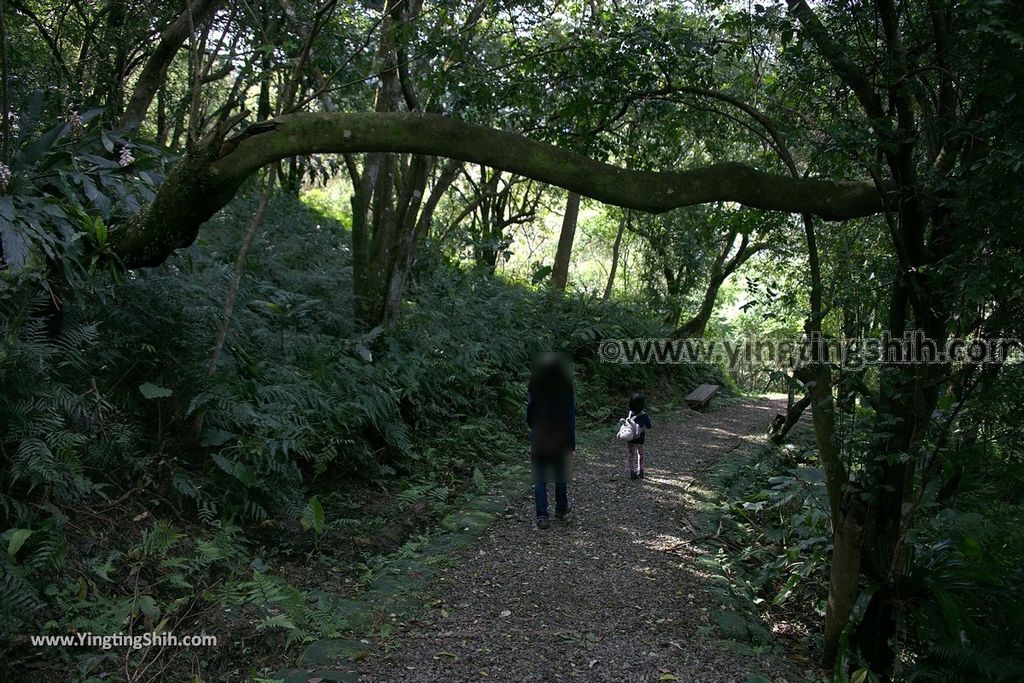 YTS_YTS_20190310_宜蘭員山望龍埤／飛龍步道／環湖步道Yilan Yuanshan Wanglongpi Trail094_539A7775.jpg