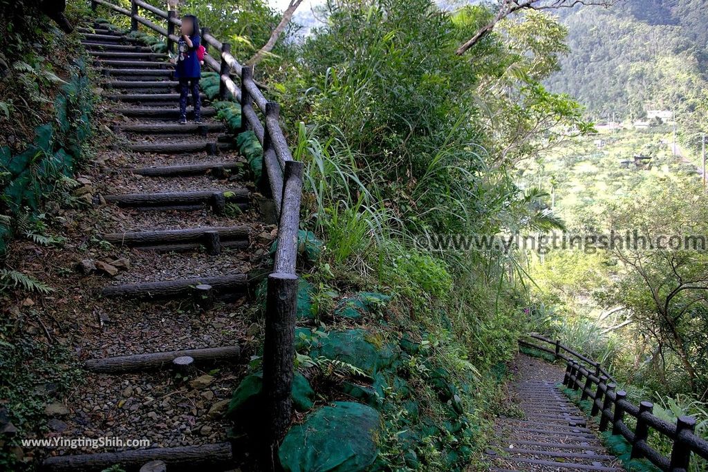 YTS_YTS_20190310_宜蘭員山望龍埤／飛龍步道／環湖步道Yilan Yuanshan Wanglongpi Trail096_539A7784.jpg