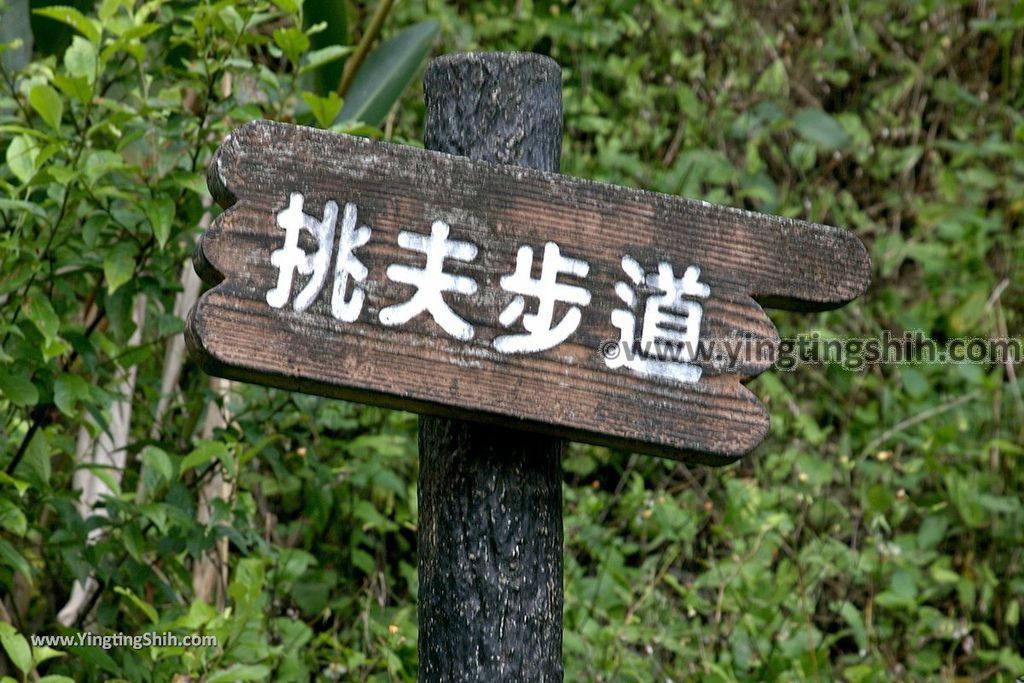 YTS_YTS_20190310_宜蘭員山望龍埤／飛龍步道／環湖步道Yilan Yuanshan Wanglongpi Trail122_539A7937.jpg