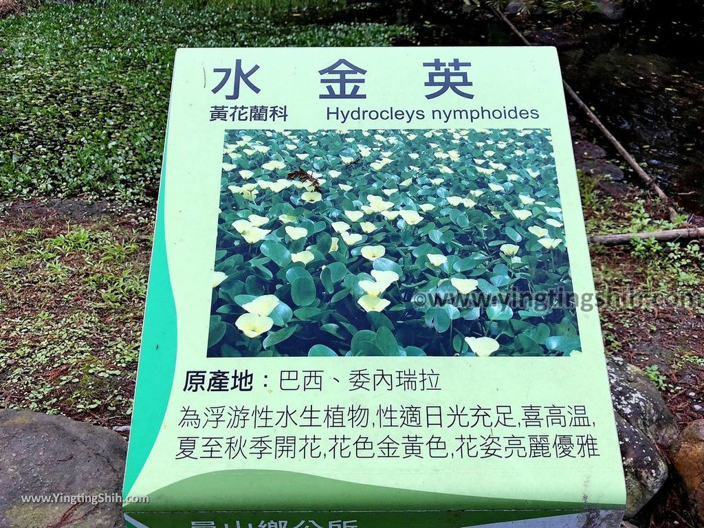 YTS_YTS_20190310_宜蘭員山水生植物教育園區／員山公園／忠烈祠Yilan Yuanshan Aquatic Plant Education Park010_IMG_5177.jpg