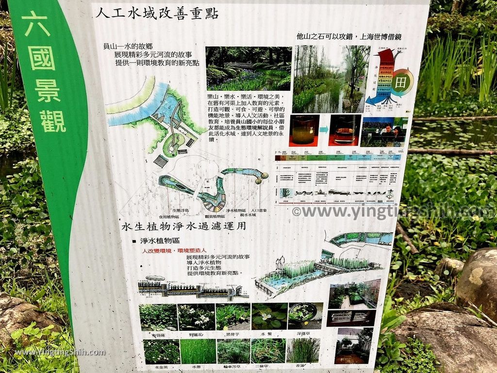 YTS_YTS_20190310_宜蘭員山水生植物教育園區／員山公園／忠烈祠Yilan Yuanshan Aquatic Plant Education Park013_IMG_5185.jpg