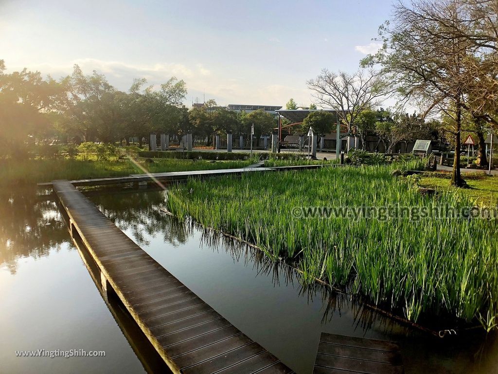 YTS_YTS_20190310_宜蘭員山水生植物教育園區／員山公園／忠烈祠Yilan Yuanshan Aquatic Plant Education Park170_IMG_5423.jpg