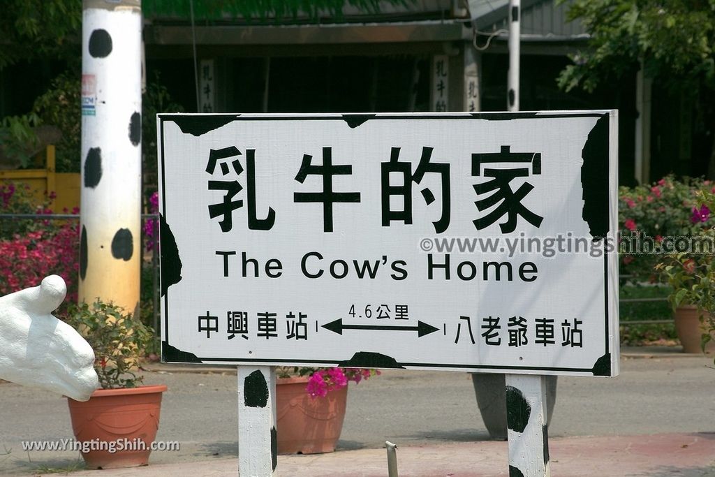 YTS_YTS_20190318_台南柳營八老爺牧場／乳牛的家Tainan Liouying The Cow%5Cs Home／Ranch005_539A1150.jpg