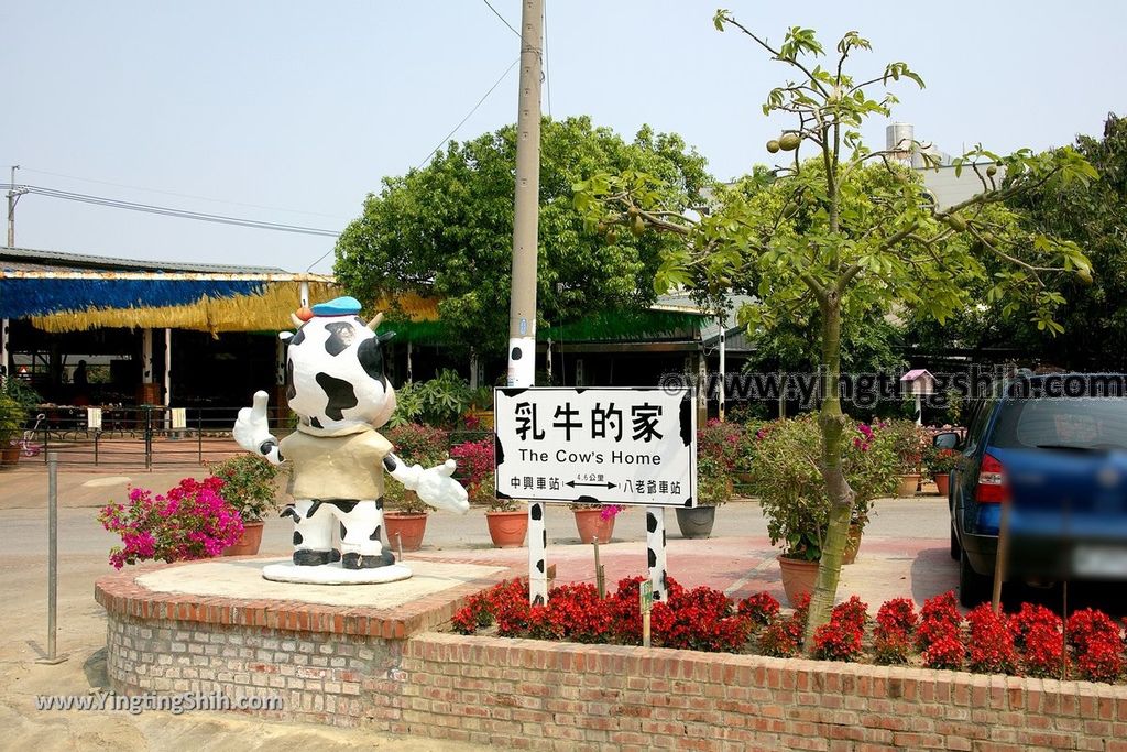 YTS_YTS_20190318_台南柳營八老爺牧場／乳牛的家Tainan Liouying The Cow%5Cs Home／Ranch004_539A1149.jpg