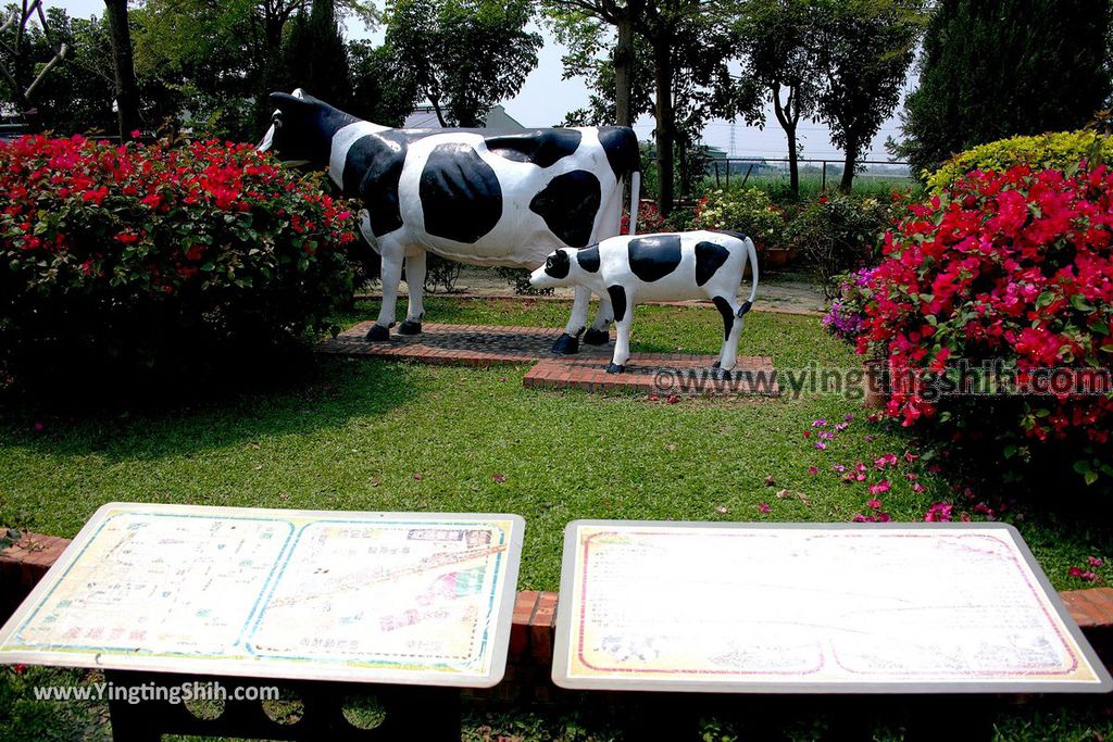 YTS_YTS_20190318_台南柳營八老爺牧場／乳牛的家Tainan Liouying The Cow%5Cs Home／Ranch043_539A1015.jpg