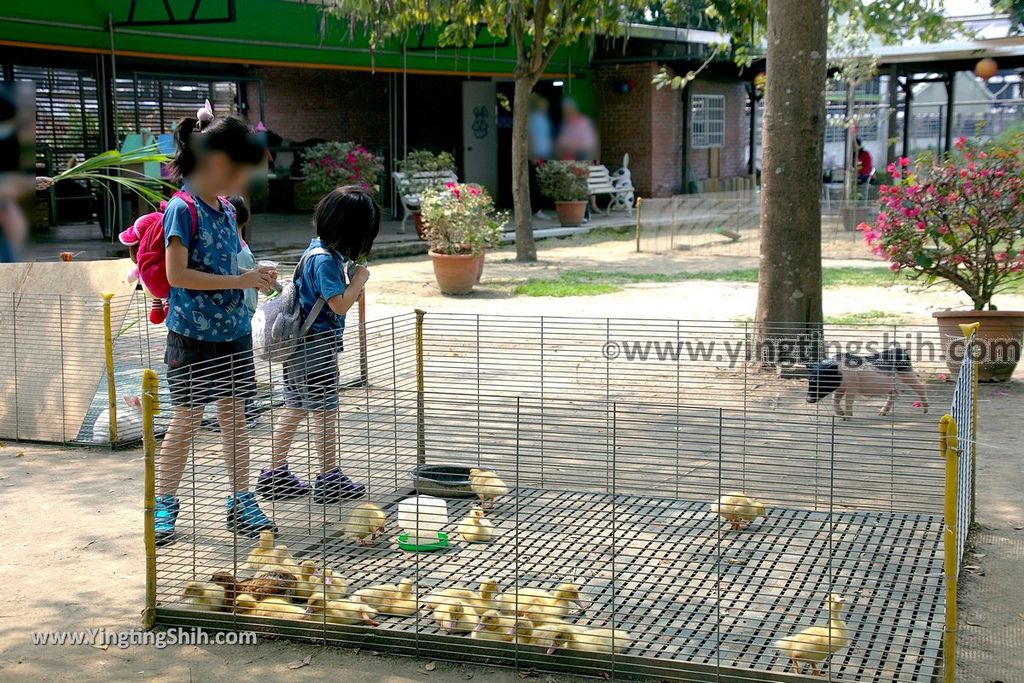 YTS_YTS_20190318_台南柳營八老爺牧場／乳牛的家Tainan Liouying The Cow%5Cs Home／Ranch101_539A1141.jpg