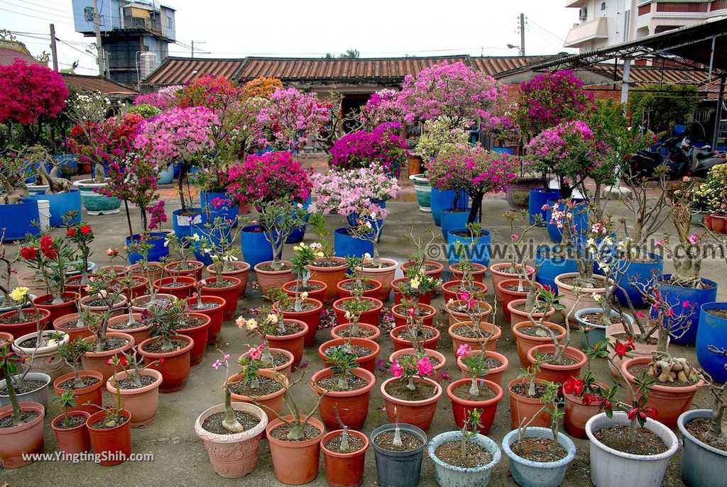 YTS_YTS_20190324_台南七股篤加聚落文物館／文衡殿Tainan Qigu Dujia Cultural Relics Museum031_539A4897.jpg