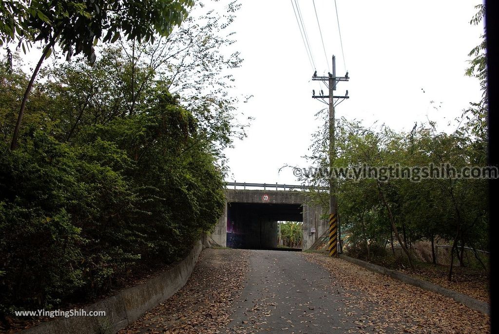 YTS_YTS_20190330_台南柳營永華沼澤生態池／陳永華將軍古墓／歷史建築Tainan Liuying Chen Yunghua Ancient Tomb003_539A6373.jpg