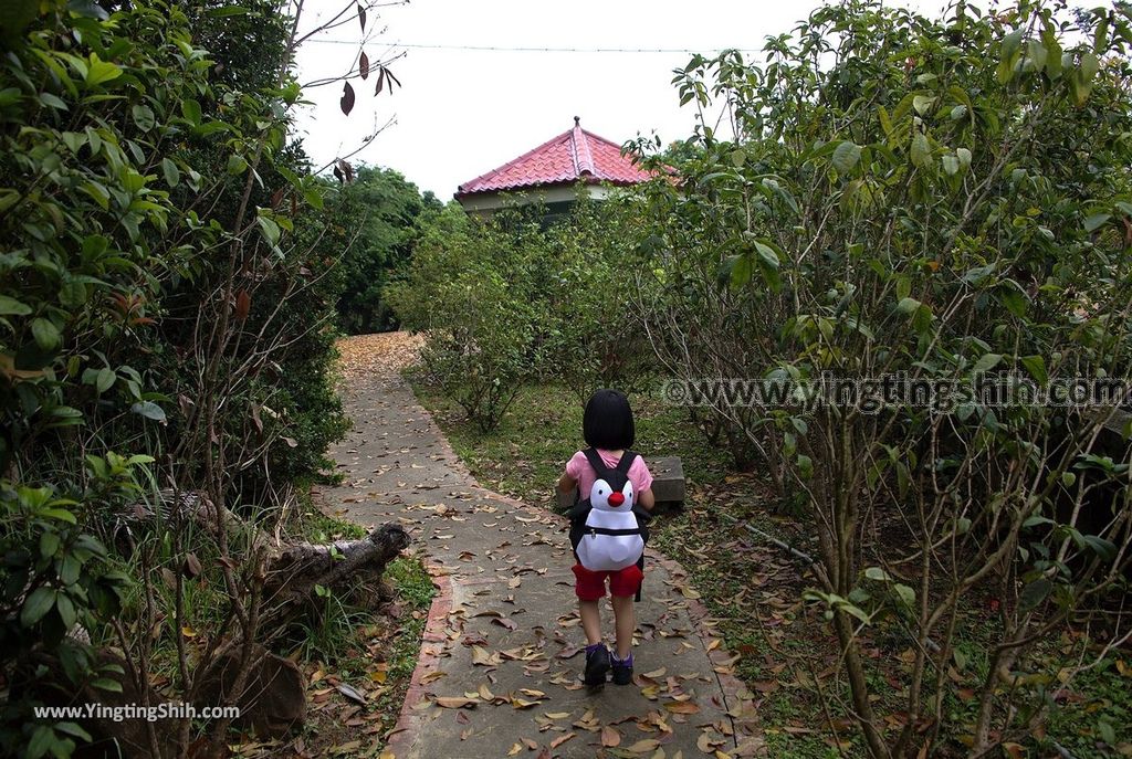 YTS_YTS_20190330_台南柳營永華沼澤生態池／陳永華將軍古墓／歷史建築Tainan Liuying Chen Yunghua Ancient Tomb058_539A6478.jpg