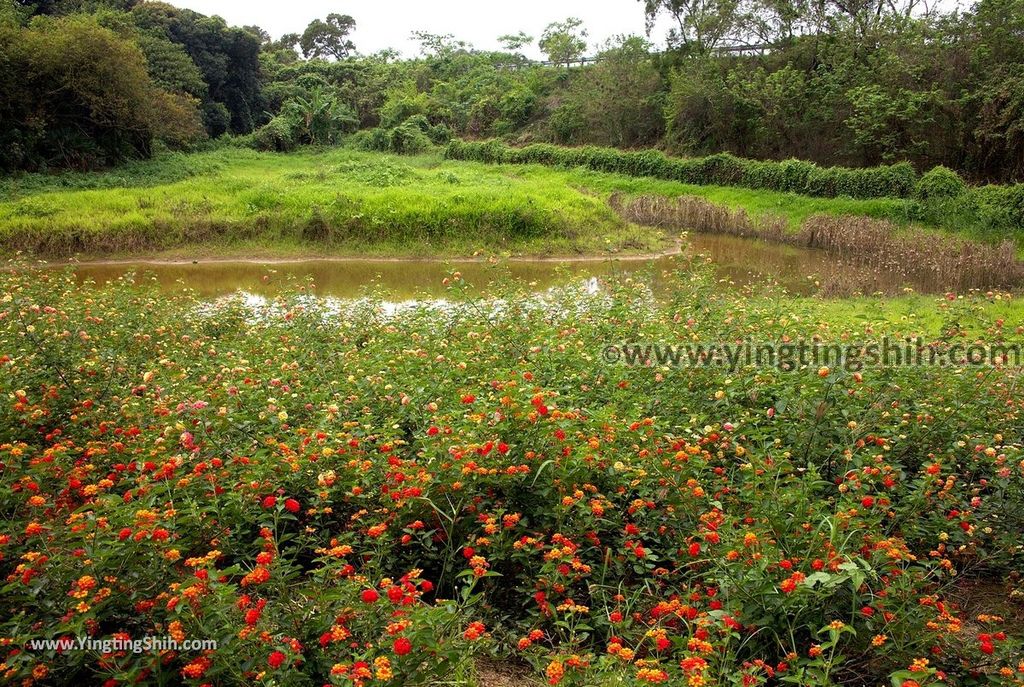 YTS_YTS_20190330_台南柳營永華沼澤生態池／陳永華將軍古墓／歷史建築Tainan Liuying Chen Yunghua Ancient Tomb065_539A6529.jpg