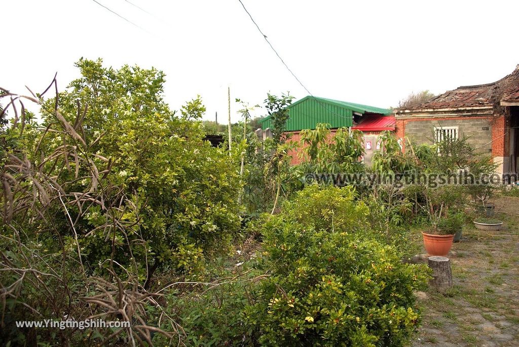 YTS_YTS_20190330_台南大內楊家古厝Tainan Danei Yang Family Ancient House018_539A7075.jpg