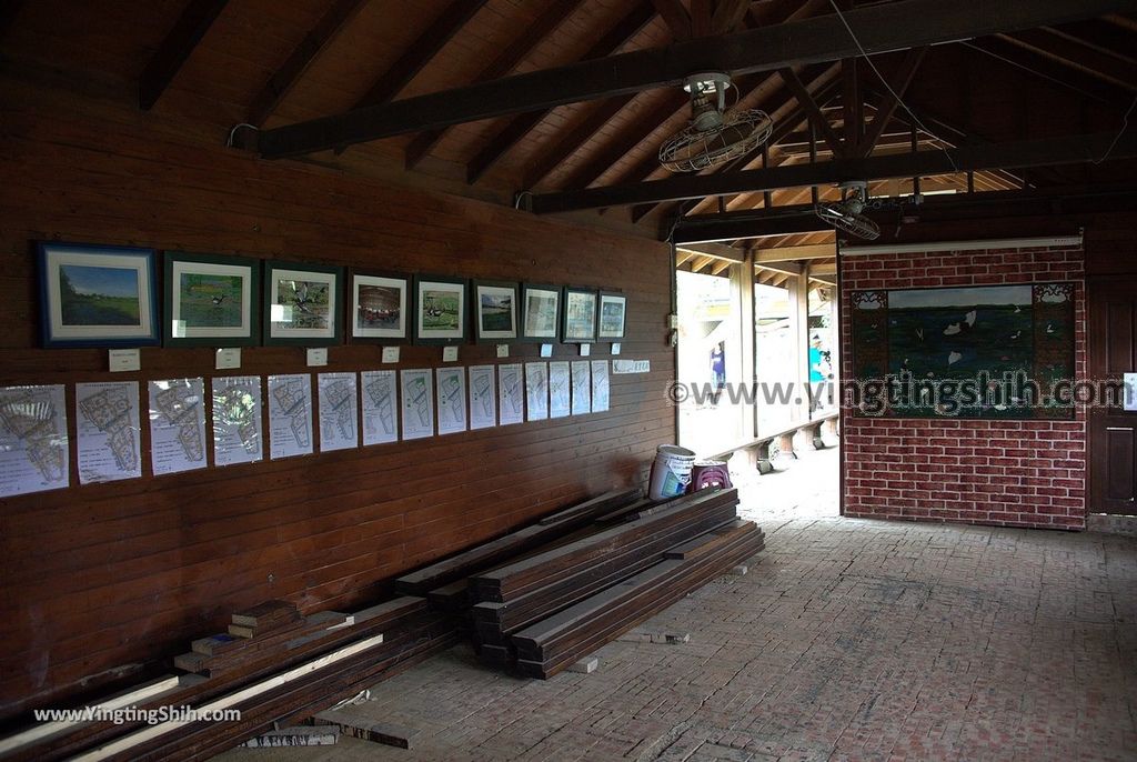 YTS_YTS_20190330_台南官田水雉生態教育園區Tainan Guantian Pheasant-tailed Jacana Habitat Education Park065_539A6706.jpg