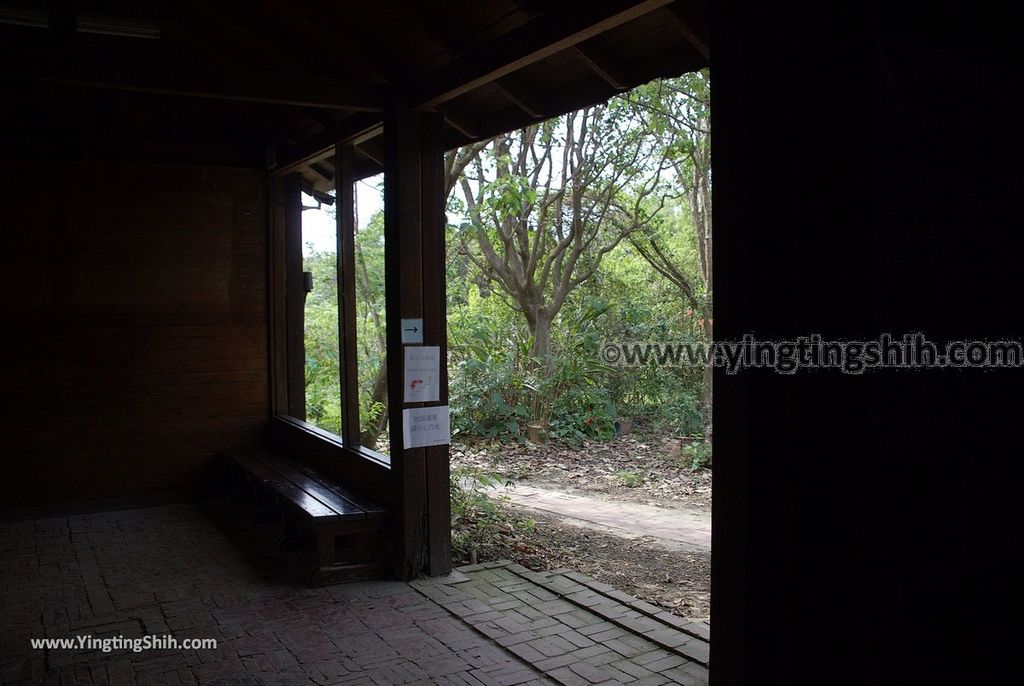 YTS_YTS_20190330_台南官田水雉生態教育園區Tainan Guantian Pheasant-tailed Jacana Habitat Education Park087_539A6772.jpg