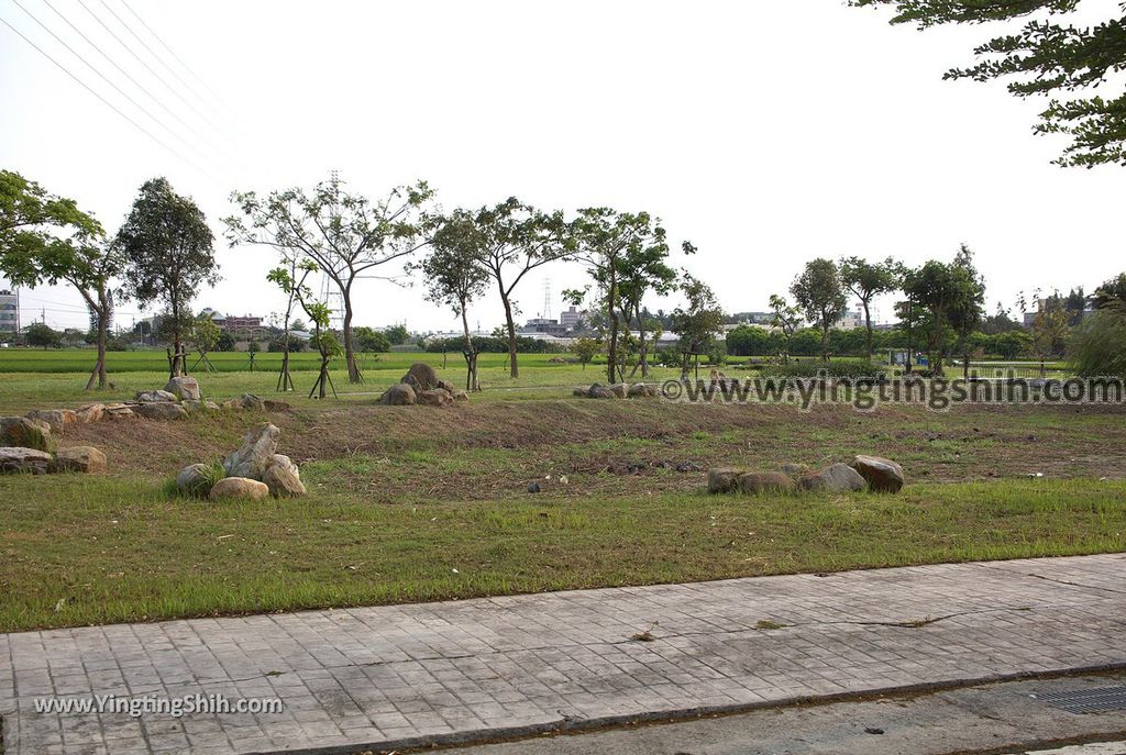 YTS_YTS_20190330_台南新市新市生態休閒公園Tainan Xinshi Ecological Park005_539A7116.jpg