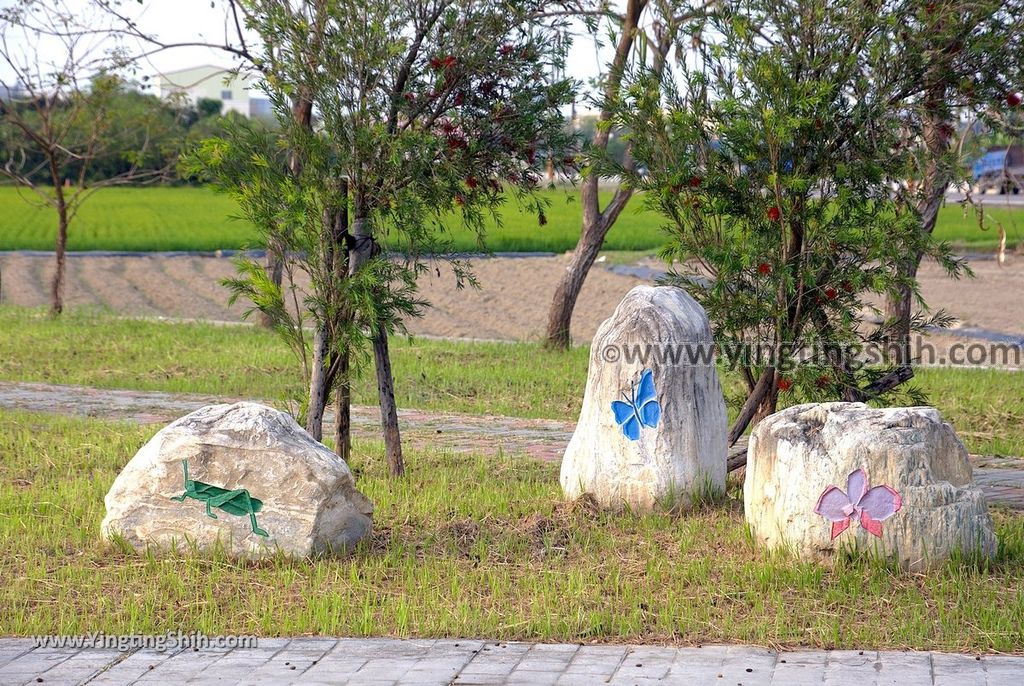 YTS_YTS_20190330_台南新市新市生態休閒公園Tainan Xinshi Ecological Park016_539A7114.jpg