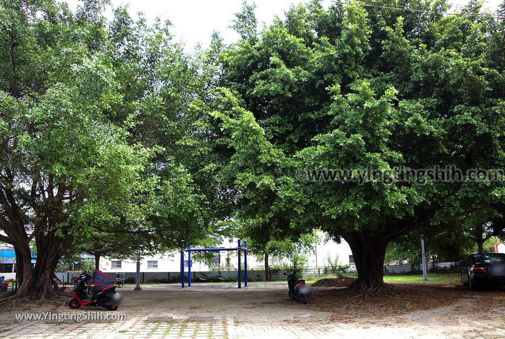 YTS_YTS_20190330_台南六甲福德祠公園Tainan Liujia Tudigong Park007_539A6603.jpg