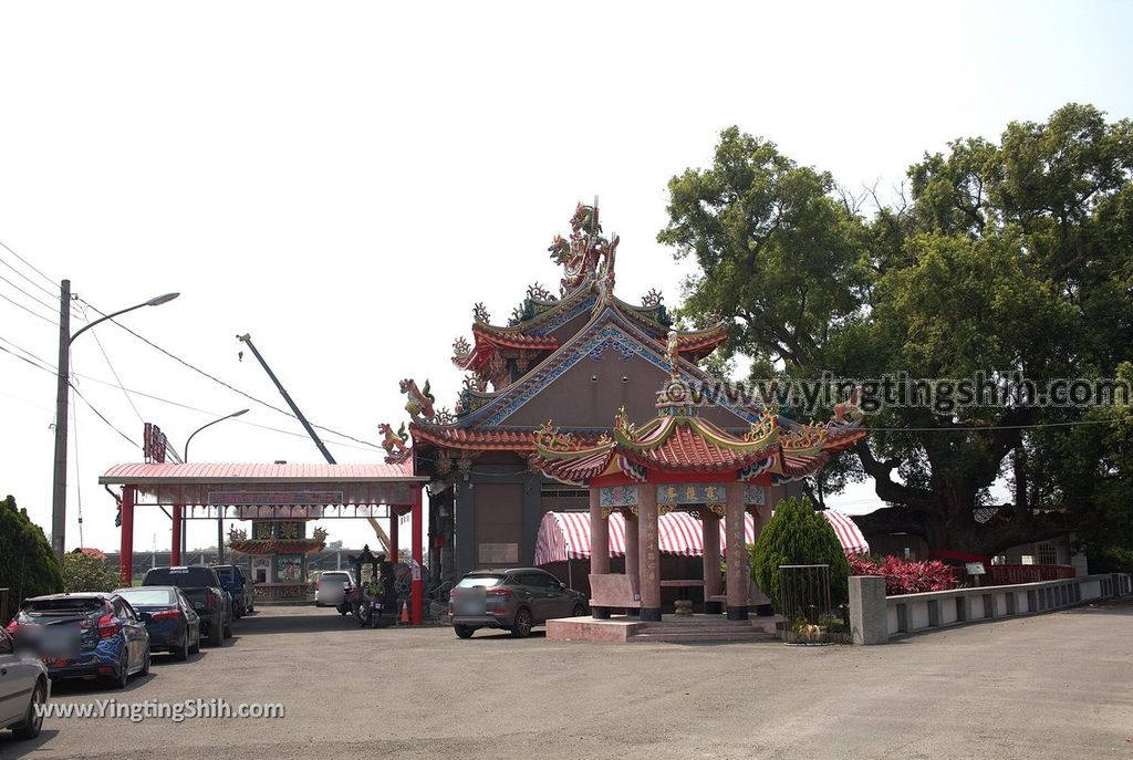 YTS_YTS_20190331_雲林莿桐東興宮三百年老樟樹Yunlin Citong Three Hundred Years Old Camphor Tree004_539A7758.jpg