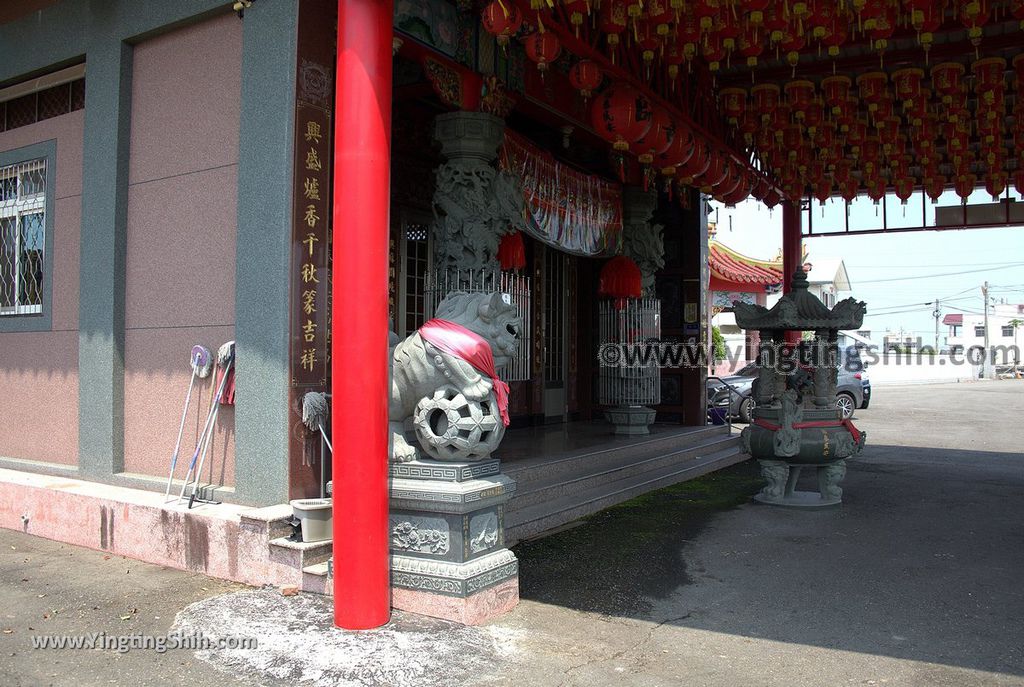 YTS_YTS_20190331_雲林莿桐東興宮三百年老樟樹Yunlin Citong Three Hundred Years Old Camphor Tree026_539A7820.jpg