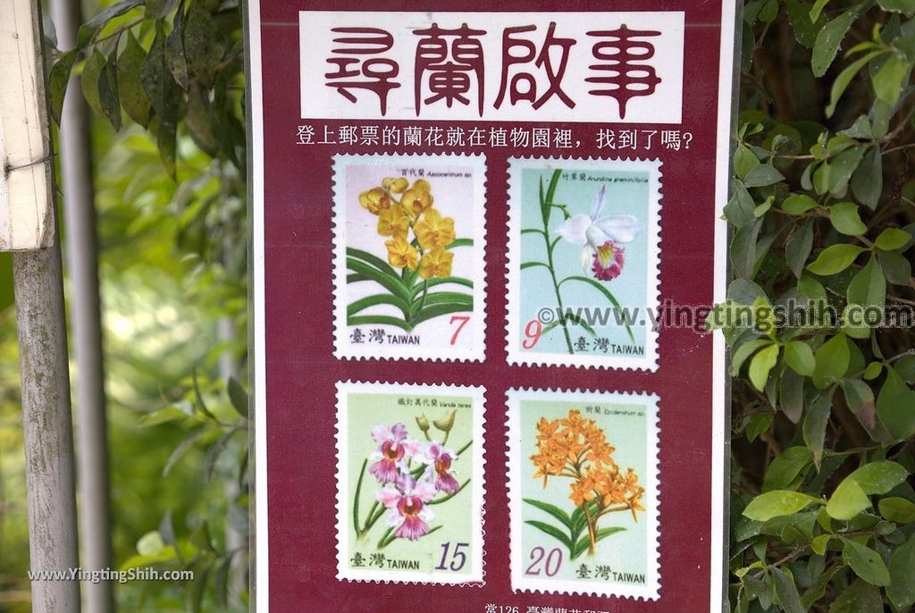 YTS_YTS_20190406_台南山上蘭科植物園Tainan Shanshang Orchidaceae Botanical Garden014_539A9966.jpg