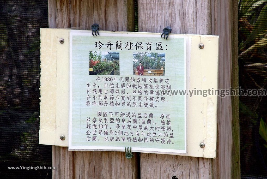 YTS_YTS_20190406_台南山上蘭科植物園Tainan Shanshang Orchidaceae Botanical Garden017_539A9971.jpg