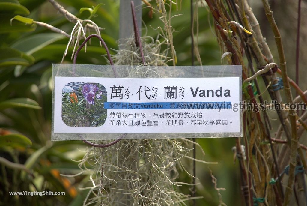 YTS_YTS_20190406_台南山上蘭科植物園Tainan Shanshang Orchidaceae Botanical Garden040_539A0021.jpg